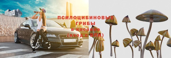 винт Алзамай
