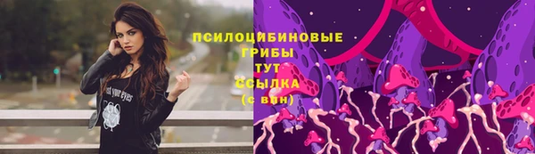 ECSTASY Алексеевка