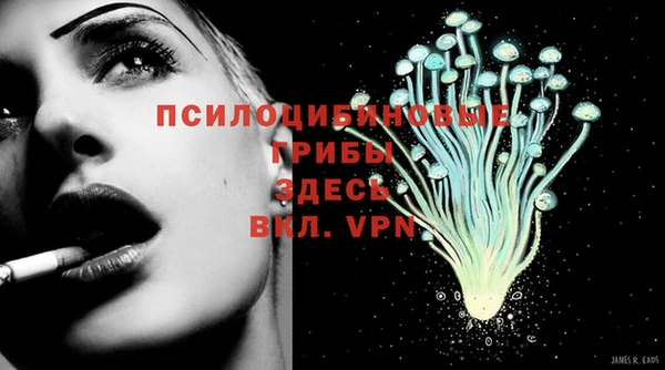винт Алзамай