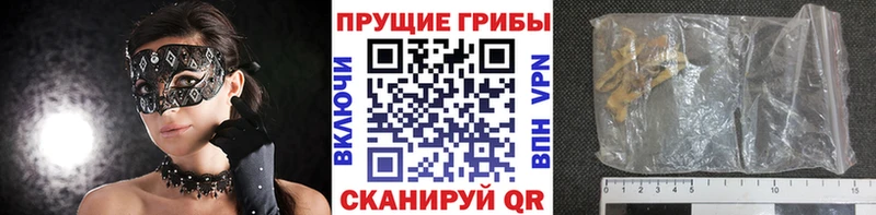 Галлюциногенные грибы мухоморы  Куровское 