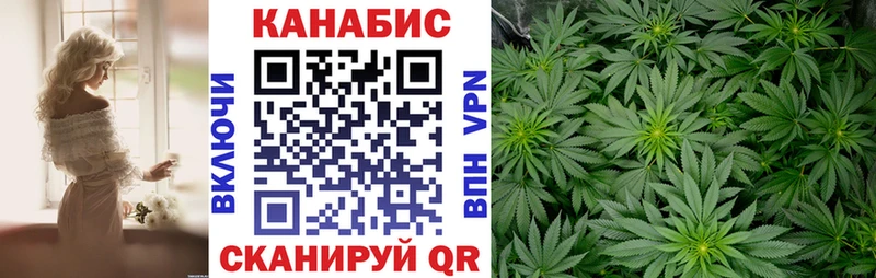 Каннабис OG Kush  Куровское 